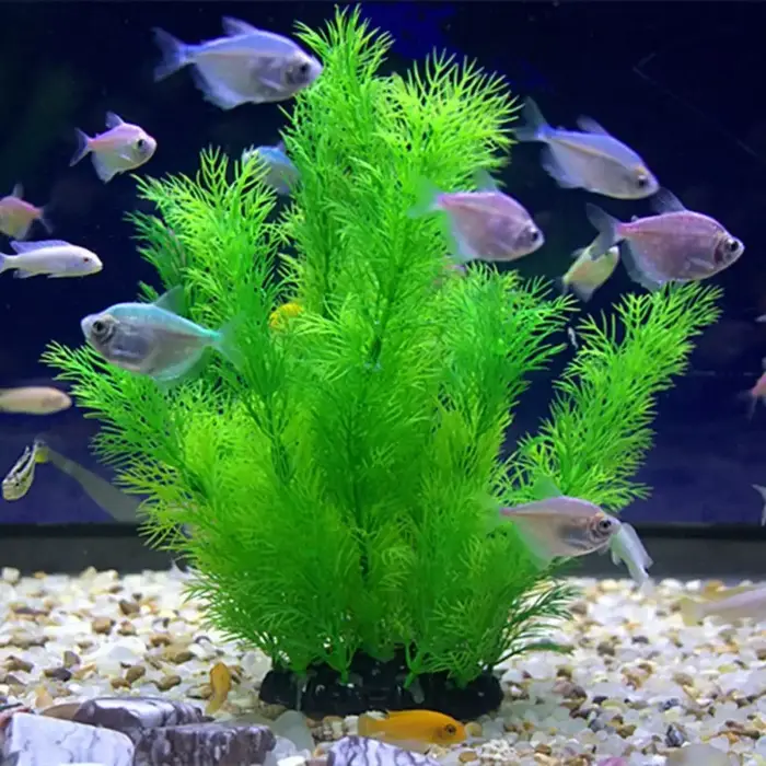 2026。 Ornements végétaux pour aquarium
