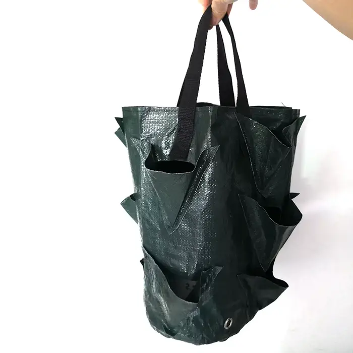 Sac de culture de plantes fraises 3 gallons, conteneur de tomates en plein air, sacs multi-bouche su