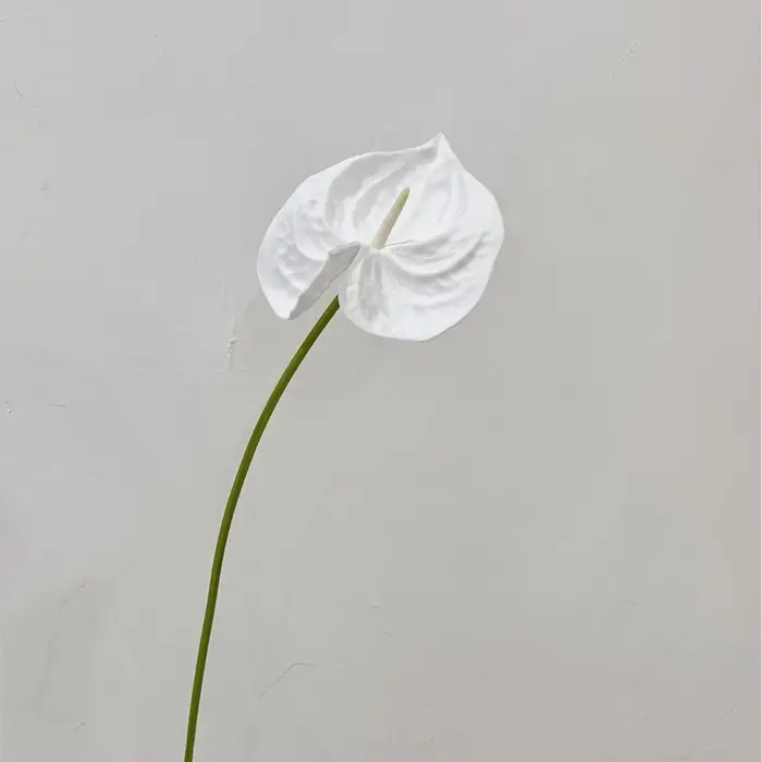 Plante artificielle Anthurium Peace Lily de haute qualité de 22,4 pouces pour la décoration murale f