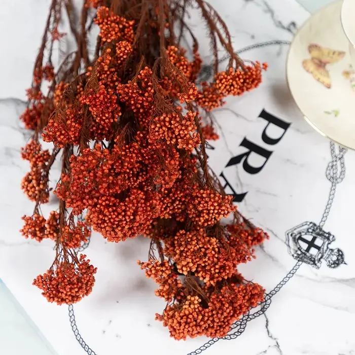 Bouquet de fleurs de Millet séchées naturelles