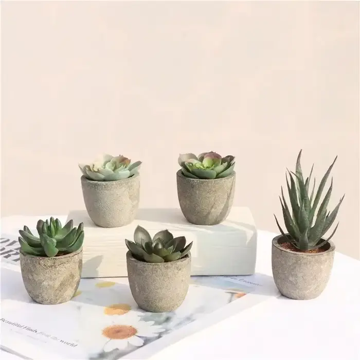 Mini plantes artificielles à l'aloe vera