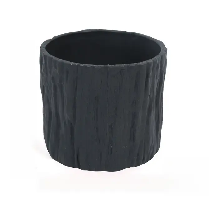 Petites Pots de fleurs pour plantes vertes