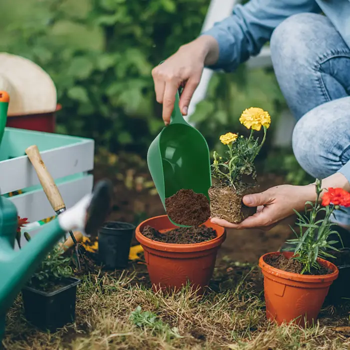 Bêche de jardin, bêche de plantation