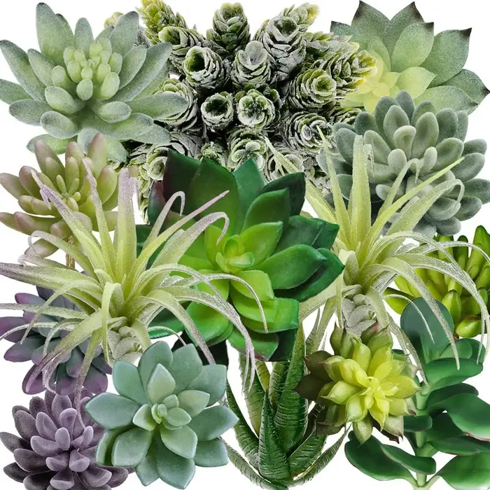 Lot de 15 plantes succulentes artificielles assorties