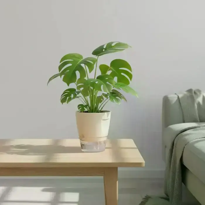 Pots de plantes auto-arrosants d'intérieur, jardinières modernes en plastique pour orchidées, succulentes, herbes, fleurs, décoration maison et bureau
