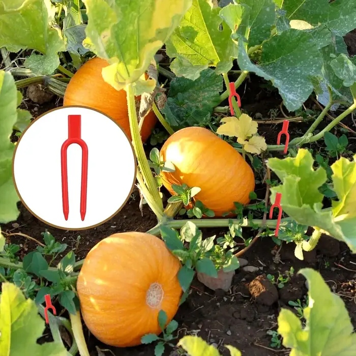 Épingles et clips de jardinage en plastique pour plantes grimpantes