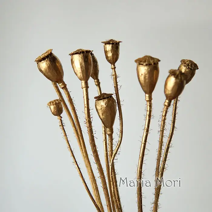 10 pièces/fleurs conservées maïs coquelicot fruits décoration de la maison bricolage matériel colle cristal bougies faites à la main fleurs époxy or argent