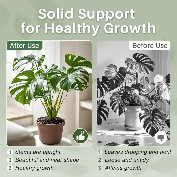 Support pour plantes hautes