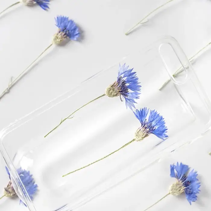 Fleurs de maïs bleues naturelles séchées PMurcia avec tournesols