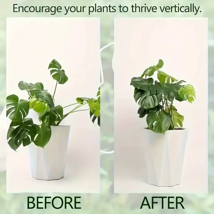 Grand support pour plantes suspendues