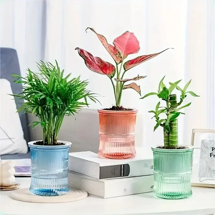 Pot de fleurs auto-arrosage automatique absorbant l'eau