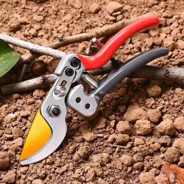 Ciseaux horticoles pour couper des Branches
