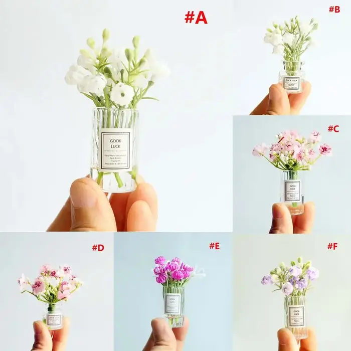 Plantes en pot miniatures pour décoration de bureau