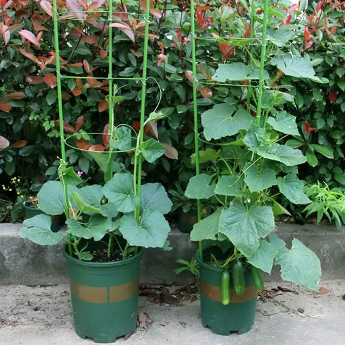 Nouvelle plante grimpante treillis Pot plantes Support cadre