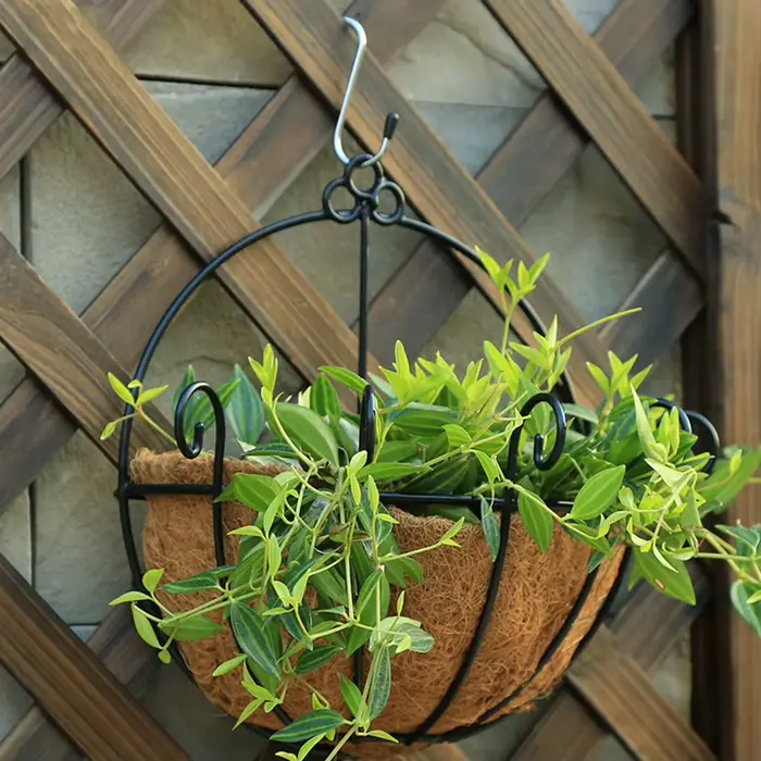 Panier suspendu, pot de fleur
