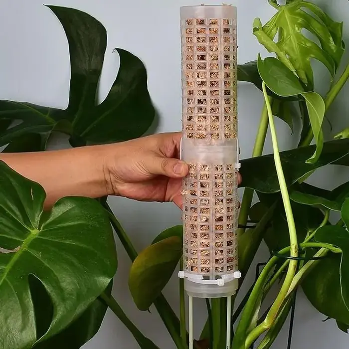Colonne de mousse hauteur 25CM