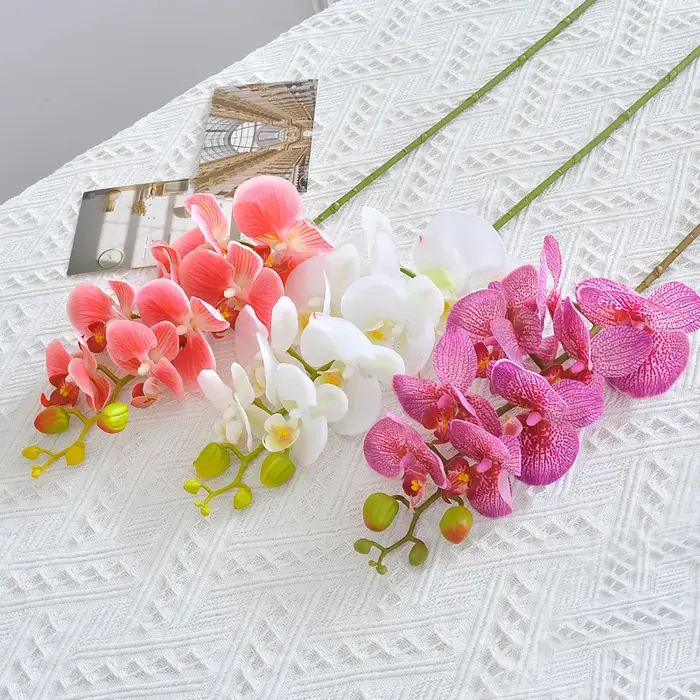 Branche d'orchidée hydratante