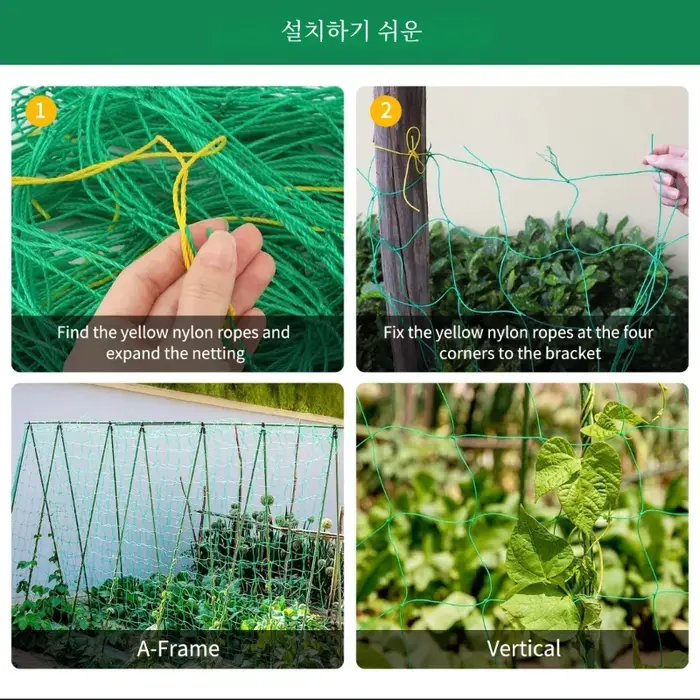 Pergolas de treillis pour plantes