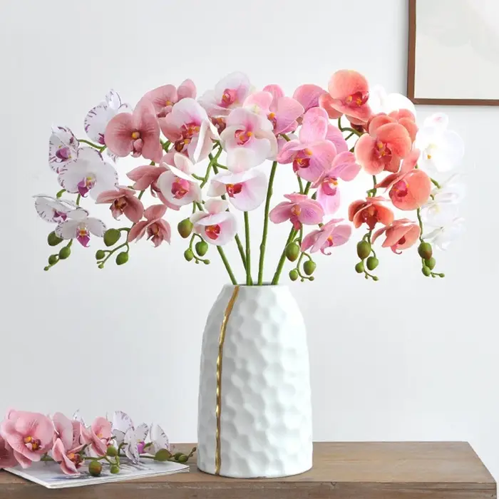 Branche d'orchidée hydratante