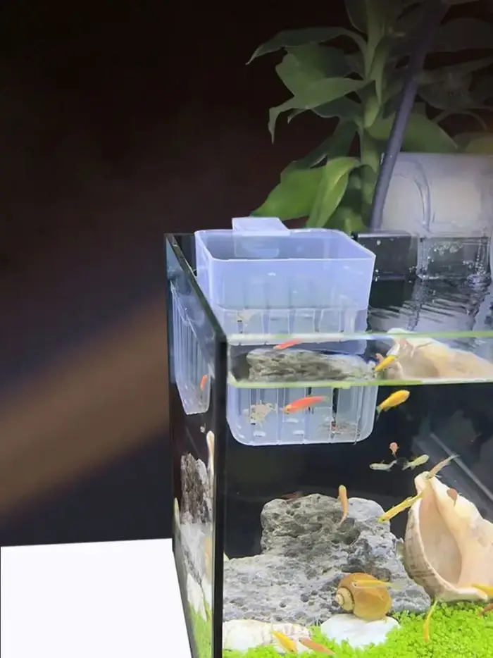 Panier hydroponique Transparent pour Aquarium