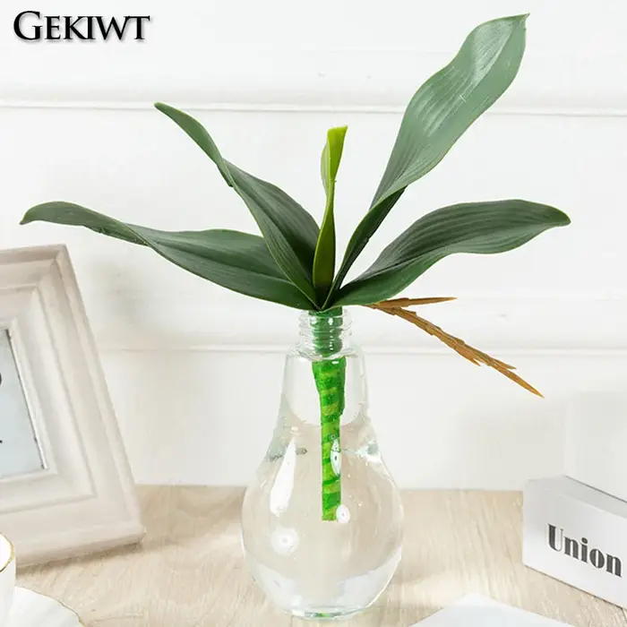 Plantes artificielles : Feuilles de Phalaenopsis
