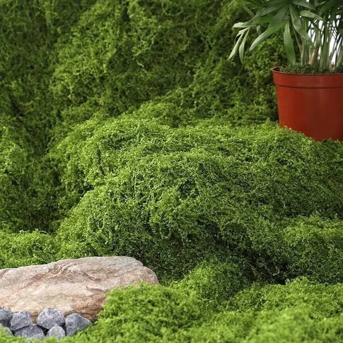 1*1m fausse mousse bricolage artisanat herbe mousse artificielle fausse mousse conservée plantes vertes maison chambre jardin décor paysage fausse herbe