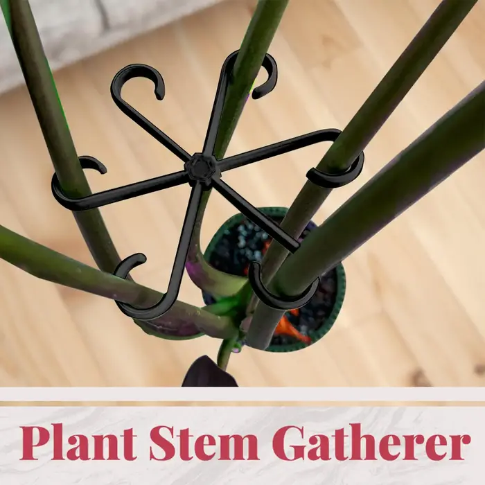 4 supports de tiges de plantes grimpantes