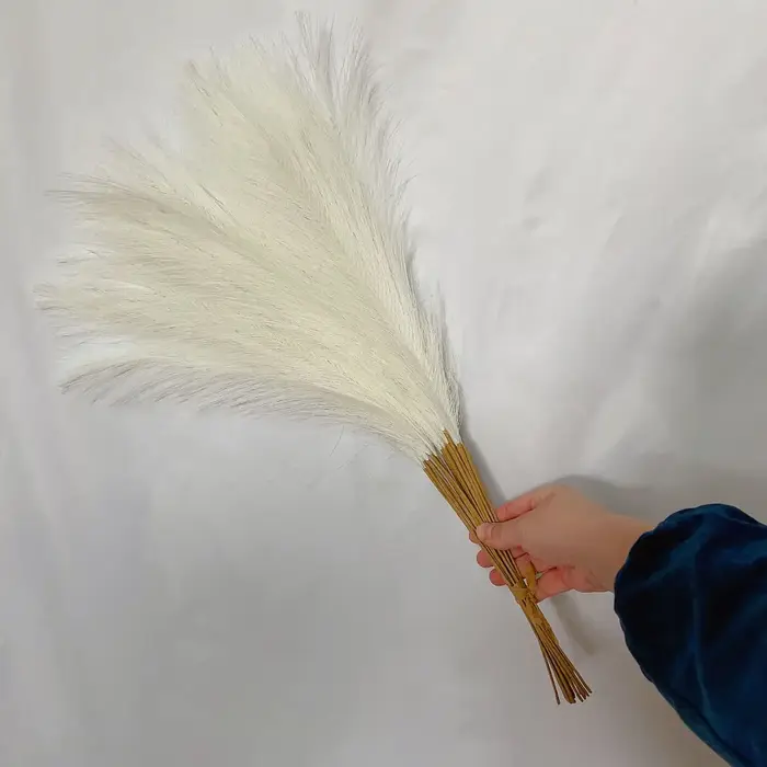 Pampa moelleux pour la décoration de la maison, Boho Decor, fausse plante, roseau simulé, fête de ma