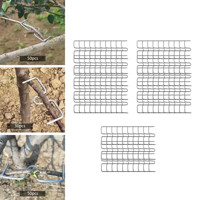 Extracteur de branches d'arbre fruitier