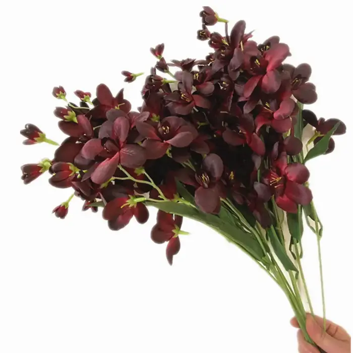InjCattleya-Branche de fleur avec cuir chevelu vert