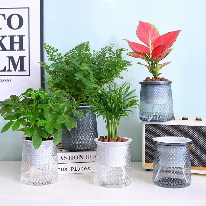 Pot de fleurs auto-arrosage pour plantes hydroponiques succulentes d'intérieur