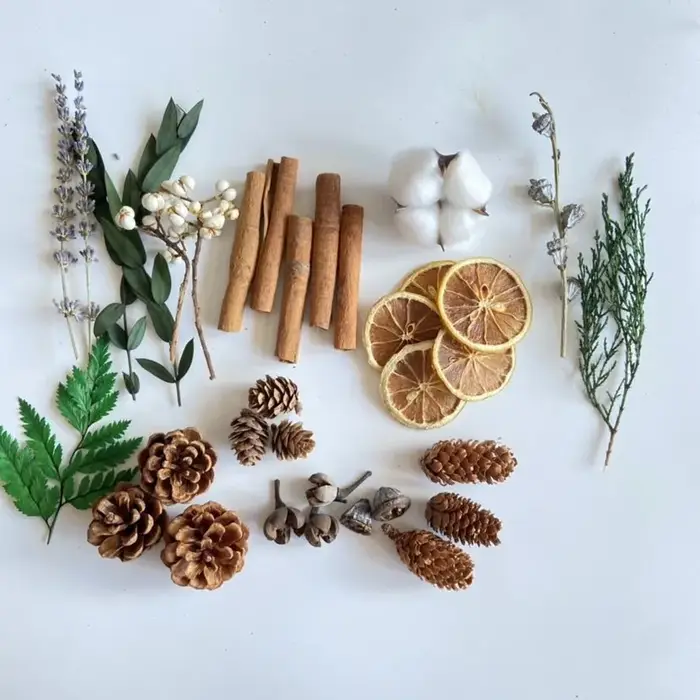 Kit de loisirs créatifs avec fleurs séchées, matériel floral décoratif pour l'ornementation artistique de la maison