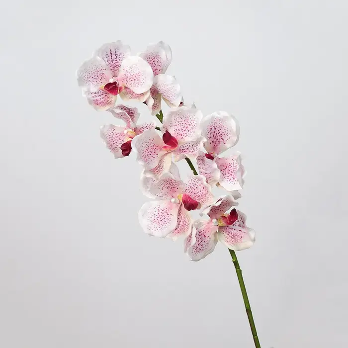Orchidée Vanda Artificielle de 80 CM