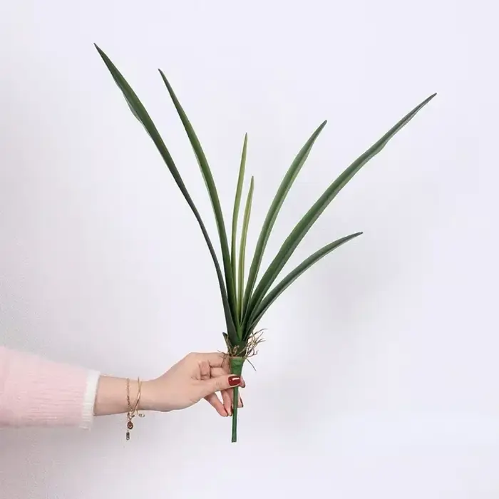 Feuilles de clivia artificielles plantes vertes