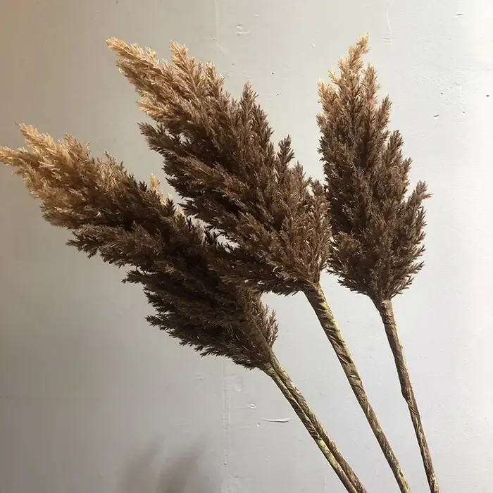 Ensemble de roseaux artificiels pour la décoration intérieure