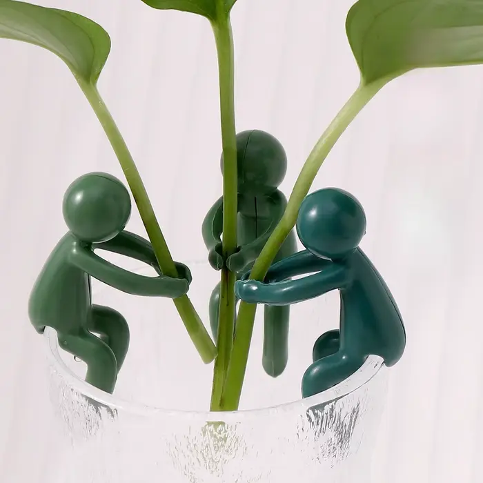 Cadre de Support pour plantes