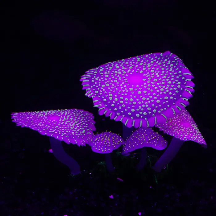 Décoration de corail fluorescent en silicone pour aquarium avec plantes lumineuses pour l'aménagement paysager sous-marin