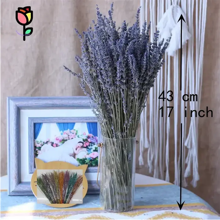 Bouquets de fleurs séchées de lavande préservée naturelle, 100 pièces, décoration de fête de mariage, fleur artificielle Pampas, décoration de noël pour la maison