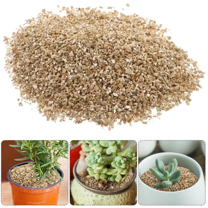Vermiculite 3L croissance moyenne pour plantes plantes champignons Terrarium animaux jardinage décor