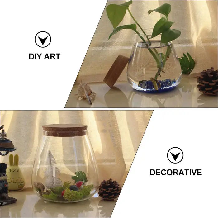 Bocaux de Terrarium en Verre avec Bouchon de Liège