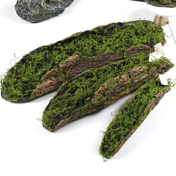 1 Imitation écorce mousse plantation blocs