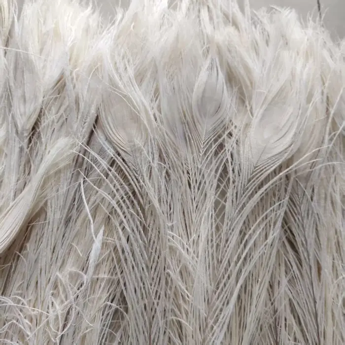 Vente en gros! Belles plumes d'oeil de paon blanc