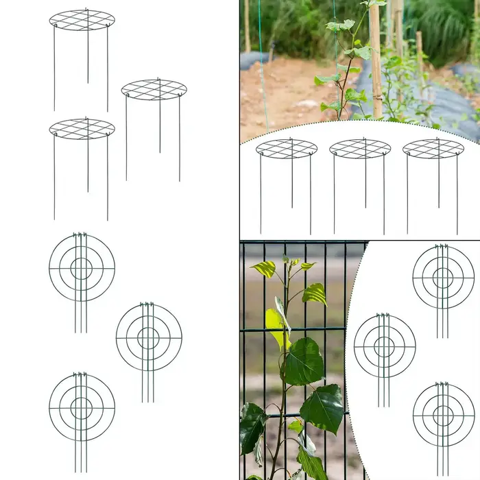 3x Cages et supports de pivoines en métal robuste et élégant