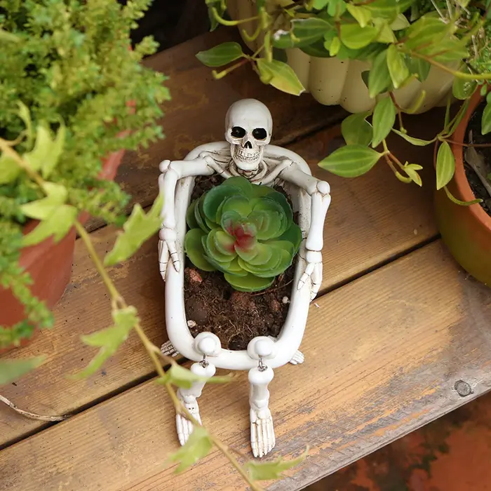 Pot de fleurs créatif en forme de crâne pour plantes succulentes