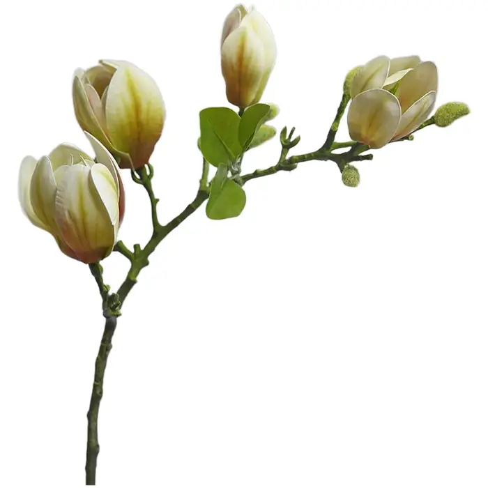 Bouquet de Magnolias Réalistes en Soie avec Feuilles Texturées et Boutons Définis pour l'Aménagement du Salon