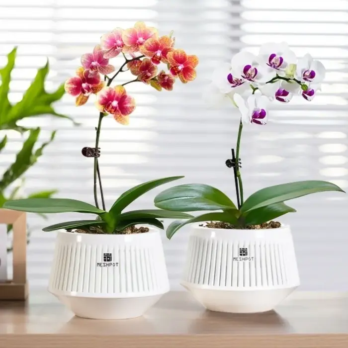 Pot de culture en maille à compartiments pour orchidées