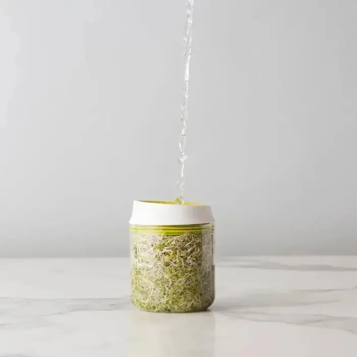 Kit de Germination de Comptoir Réutilisable pour la Cuisine Domestique – Système