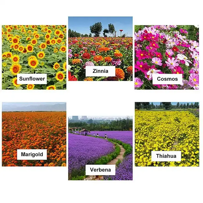 Boue nutritionnelle pour pot d'étang aquatique, pour plantes de nénuphar, médias de culture pour nénuphars, fournitures de jardinage de Lotus