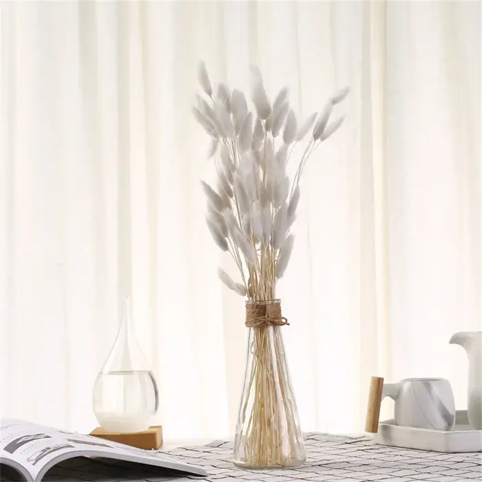 Fleurs naturelles séchées pour décoration de gâteau