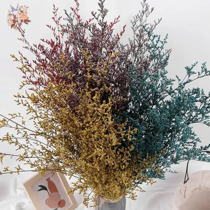Limonium naturel séché pour les amoureux